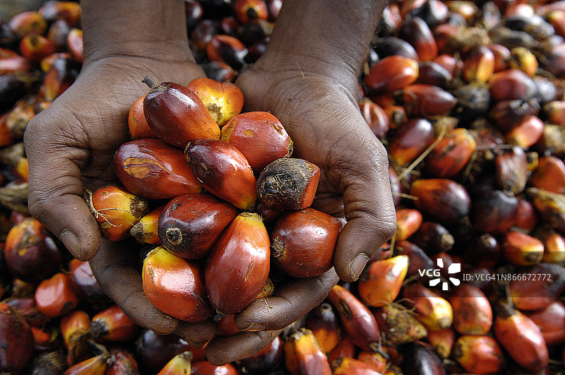 期货投资经验总结报告,期货投资实战经验与总结分析报告